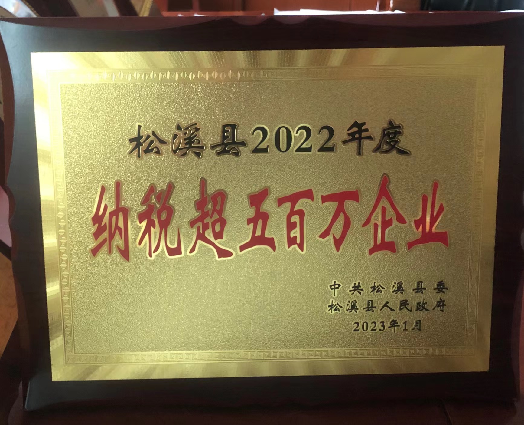 喜報(bào)！易順建工集團(tuán)喜獲“松溪縣2022年度納稅超五百萬(wàn)企業(yè)”榮譽(yù)